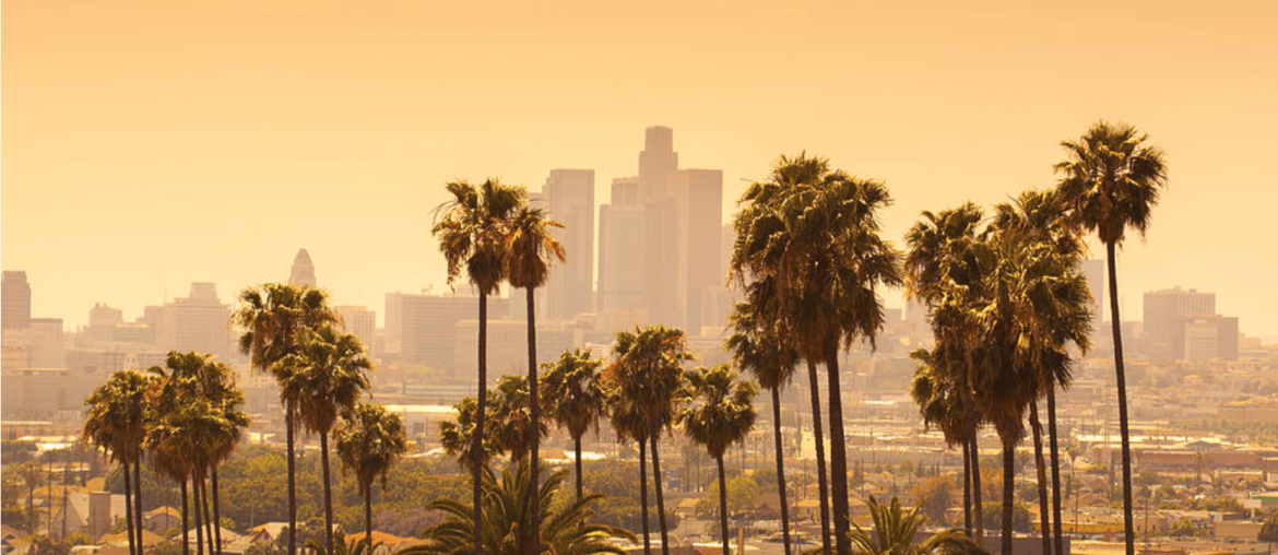 Promising Careers in Los Angeles Image