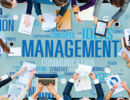 Management job titles