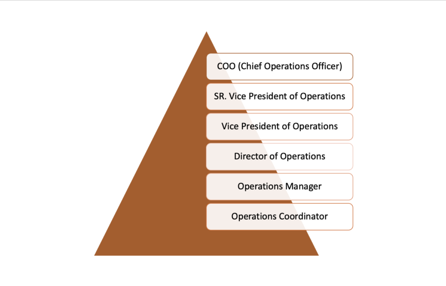 General operations job titles hierarchy